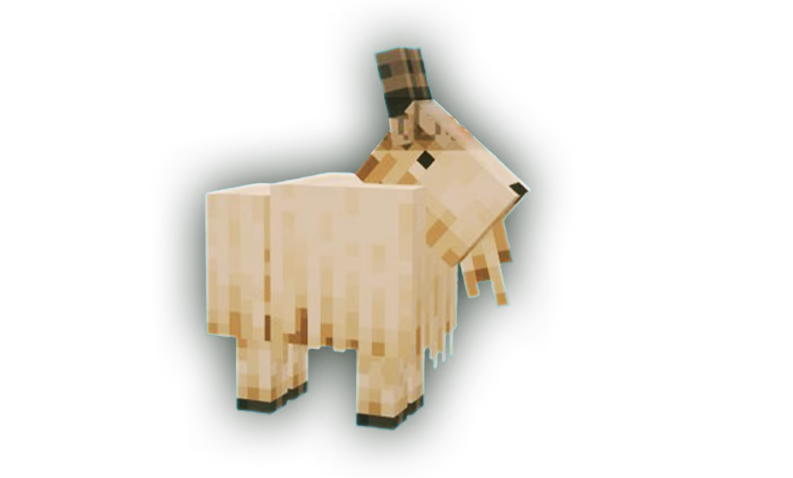 Goat Pet