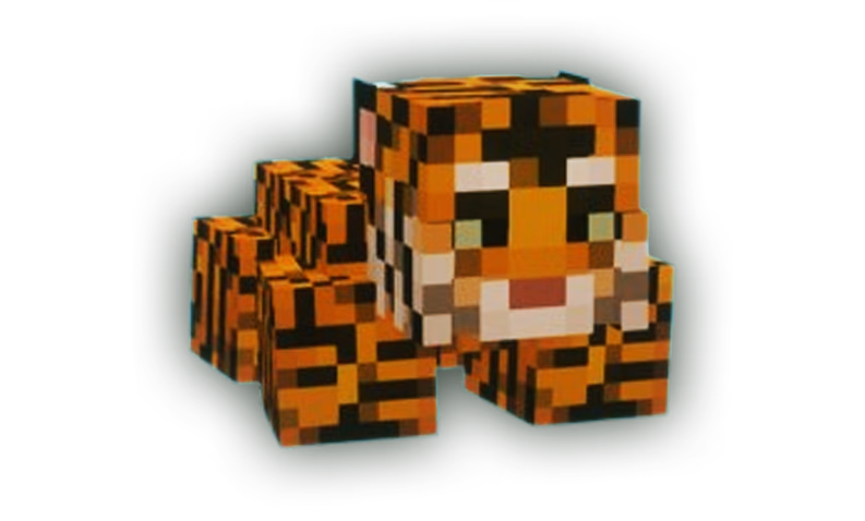 Tiger Pet